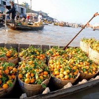 Cho Noi Cai Rang – Can Tho